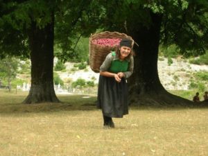 Reis naar het Albanië van de locals